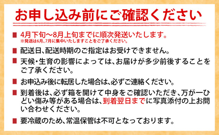 特大5Lサイズ 数量限定 日南市産 完熟マンゴー 1玉 化粧箱入り 期間限定 フルーツ 果物 くだもの 国産 食品 デザート おすすめ 2025年 ご褒美 贅沢 産地直送 特大 希少 お祝 お土産 プレゼント ギフト 贈り物 宮崎県 日南市 送料無料_C107-23