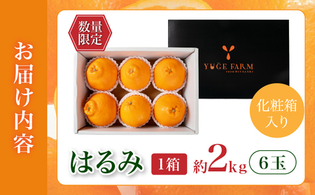 希少な品種!!果汁たっぷり!! 数量限定 はるみ 約2kg 化粧箱入り 期間限定 フルーツ 果物 くだもの 柑橘 みかん 国産 食品 デザート ジュース 産地直送 おやつ 希少 濃厚 ご褒美 おすすめ お土産 ギフト 贈り物 贈答 おすそ分け 宮崎県 日南市 送料無料_CA62-24