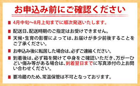 訳あり 数量限定 日南市産 完熟マンゴー 6玉～10玉 2.8kg以上 期間限定 家庭用 フルーツ 果物 くだもの トロピカルフルーツ 産地直送 国産 食品 デザート おやつ 甘い ご褒美 贅沢 おすそ分け お取り寄せ グルメ 冷蔵 南国 宮崎県 送料無料_EC7-23