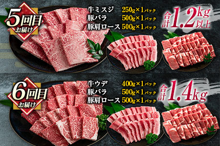 数量限定 6か月 お楽しみ 定期便 宮崎牛 モモ バラ 肩ロース ロース ミスジ ウデ 豚肉 豚バラ 焼肉 食べ比べ セット 総重量8kg以上 肉 牛 豚 国産 宮崎県産 食品 おかず 送料無料_M21-23