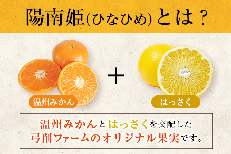 超希少な品種!!オリジナルブランド柑橘!! 数量限定 陽南姫 約2kg 化粧箱入り 期間限定 フルーツ 果物 くだもの 柑橘 みかん 国産 食品 デザート ジュース 産地直送 おやつ 希少 ご褒美 おすすめ お土産 ギフト 贈り物 おすそ分け 宮崎県 日南市 送料無料_CA63-24