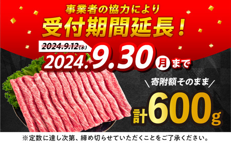 【令和6年10月発送】数量限定 期間限定 宮崎牛 肩ウデ スライス 計600g 肉 牛肉 国産 すき焼き 人気 黒毛和牛 赤身 しゃぶしゃぶ A4 A5 等級 ギフト 贈答 小分け 食品 ミヤチク 宮崎県 送料無料_BB131-23-ZO2-10