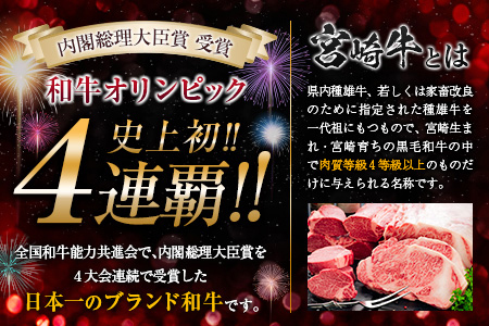 【令和6年10月発送】数量限定 期間限定 宮崎牛 肩ウデ スライス 計600g 肉 牛肉 国産 すき焼き 人気 黒毛和牛 赤身 しゃぶしゃぶ A4 A5 等級 ギフト 贈答 小分け 食品 ミヤチク 宮崎県 送料無料_BB131-23-ZO2-10