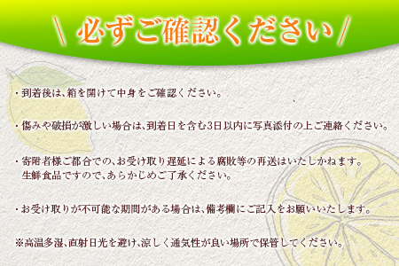 訳あり 数量限定 グリーンレモン りのか 計10kg以上 期間限定 フルーツ 果物 くだもの 柑橘 レモン 檸檬 レモンティ レモネード 国産 食品 デザート スイーツ 人気 おすすめ ご家庭用 訳アリ おすそ分け 新鮮 産地直送 宮崎県 日南市 送料無料_BB129-23