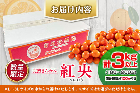 数量限定 完熟 きんかん 紅央 計3kg以上 傷み補償分100g付き フルーツ 果物 柑橘 金柑 みかん オレンジ 人気 おすすめ おすそ分け お土産 ギフト プレゼント お取り寄せ グルメ 国産 食品 デザート ブランド 希少 特産品 産地直送 宮崎県 日南市 送料無料_BC92-23