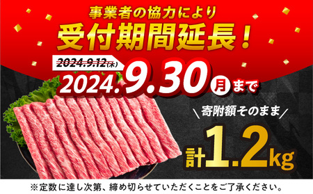 【令和6年11月配送】数量限定 期間限定 宮崎牛 肩ウデ スライス 計1.2kg 肉 牛肉 国産 すき焼き 人気 黒毛和牛 赤身 しゃぶしゃぶ A4 A5 等級 ギフト 贈答 小分け 食品 ミヤチク 宮崎県 送料無料_CA49-23-ZO2-11