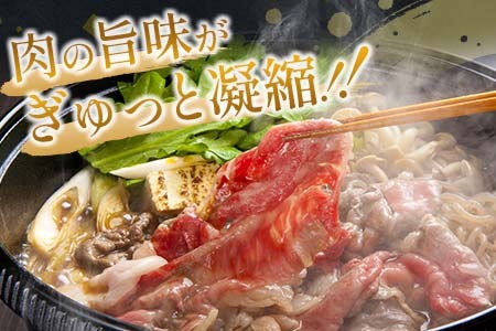 【令和6年11月配送】数量限定 期間限定 宮崎牛 肩ウデ スライス 計1.2kg 肉 牛肉 国産 すき焼き 人気 黒毛和牛 赤身 しゃぶしゃぶ A4 A5 等級 ギフト 贈答 小分け 食品 ミヤチク 宮崎県 送料無料_CA49-23-ZO2-11