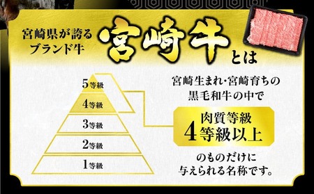 生産者応援 数量限定 宮崎牛 ロース ステーキ 4枚 牛肉 ビーフ 黒毛和牛 ミヤチク 国産 ブランド牛 食品 おかず ディナー 人気 おすすめ 鉄板焼き 高級 贅沢 上質 ご褒美 お祝 記念日 イベント グルメ 枚数が選べる 宮崎県 日南市 送料無料_ED7-24