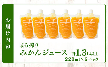 果汁 100％ まる搾り みかん ジュース 220ml入り 計6パック 機能性表示食品 飲料 ソフトドリンク 果物 フルーツ 柑橘 新鮮 シャーベット 国産 人気 おすすめ ご褒美 ギフト 記念日 おすそ分け お土産 贈り物 お取り寄せ グルメ パウチ つぶつぶ入り 宮崎県 日南市 送料無料_AA60-24