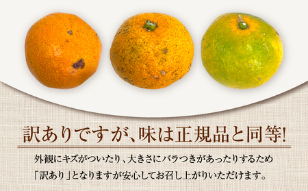 訳あり 温州みかん 計5kg以上 傷み補償分入り 期間限定 数量限定 フルーツ 果物 くだもの ミカン 柑橘 オレンジ 人気 国産 食品 デザート おやつ おすすめ 産地直送 ご家庭用 おすそ分け 特産品 ネイバーフッド 宮崎県 日南市 送料無料_A95-25