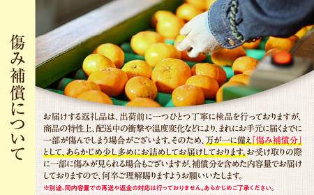 訳あり 温州みかん 計5kg以上 傷み補償分入り 期間限定 数量限定 フルーツ 果物 くだもの ミカン 柑橘 オレンジ 人気 国産 食品 デザート おやつ おすすめ 産地直送 ご家庭用 おすそ分け 特産品 ネイバーフッド 宮崎県 日南市 送料無料_A95-25