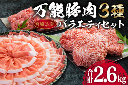 万能豚肉3種バラエティセット合計2.6kg　肉　豚　国産  B63-191