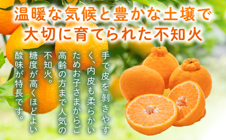 先行予約 訳あり 不知火 計3.8kg以上 傷み補償分入り 令和8年発送 期間限定 数量限定 フルーツ 果物 くだもの みかん オレンジ 柑橘 デザート ジュース おやつ 国産 食品 不揃い 傷 規格外 訳アリ 家庭用 おすそ分け おすすめ 宮崎県 日南市 送料無料_AAV6-25