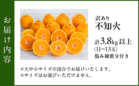 先行予約 訳あり 不知火 計3.8kg以上 傷み補償分入り 令和8年発送 期間限定 数量限定 フルーツ 果物 くだもの みかん オレンジ 柑橘 デザート ジュース おやつ 国産 食品 不揃い 傷 規格外 訳アリ 家庭用 おすそ分け おすすめ 宮崎県 日南市 送料無料_AAV6-25