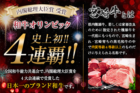 【最短2週間以内で発送】生産者応援 数量限定 宮崎牛 ロース ステーキ 1枚(計250g) 牛肉 ビーフ 黒毛和牛 ミヤチク 国産 ブランド牛 食品 おかず ディナー 人気 おすすめ 鉄板焼き 高級 贅沢 上質 ご褒美 お祝 記念日 イベント グルメ 枚数が選べる 宮崎県 日南市 送料無料_AA61-24-2W