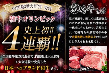 【最短2週間以内で発送】生産者応援 宮崎牛 ロースステーキ 2枚(計500g)牛カブリ 切り落とし サーロイン リブロース 牛肉 黒毛和牛 国産 焼肉 BBQ おかず 人気 ギフト 贈り物 宮崎県 日南市 送料無料_C119-24-ZO-2W