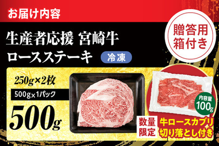 【最短2週間以内で発送】生産者応援 宮崎牛 ロースステーキ 2枚(計500g)牛カブリ 切り落とし サーロイン リブロース 牛肉 黒毛和牛 国産 焼肉 BBQ おかず 人気 ギフト 贈り物 宮崎県 日南市 送料無料_C119-24-ZO-2W