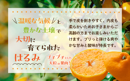 先行予約 訳あり はるみ 計3.8kg以上 傷み補償分入り 令和8年発送 期間限定 数量限定 フルーツ 果物 くだもの 柑橘 みかん オレンジ 国産 食品 デザート ジュース おやつ 希少 家庭用 不揃い 傷 規格外 訳アリ おすすめ おすそ分け 宮崎県 日南市 送料無料_AAV5-25