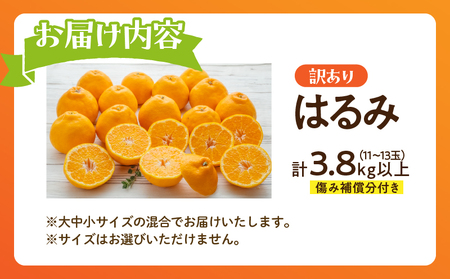 先行予約 訳あり はるみ 計3.8kg以上 傷み補償分入り 令和8年発送 期間限定 数量限定 フルーツ 果物 くだもの 柑橘 みかん オレンジ 国産 食品 デザート ジュース おやつ 希少 家庭用 不揃い 傷 規格外 訳アリ おすすめ おすそ分け 宮崎県 日南市 送料無料_AAV5-25