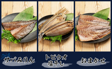 数量限定 山野水産 干物 セット 合計10枚 詰め合わせ 簡単調理 魚 魚介 加工品 食品 惣菜 おかず おつまみ 塩干し みりん干し アジ開き サバ トビウオ ひもの おすすめ 海産物 海鮮 水産加工品 ギフト 国産 宮崎県 日南市 送料無料_B232-24