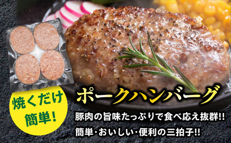 粗挽き ウインナー 90g×4パック ポークハンバーグ 100g×8個 お試しセット 国産 豚肉 ソーセージ 加工品 おかず お弁当 おつまみ 食品 BBQ バーベキュー 焼肉 人気 おすすめ 贅沢 詰め合わせ 簡単調理 小分け お取り寄せ グルメ 宮崎県 日南市 送料無料_B238-24