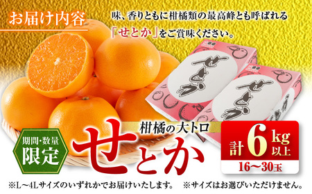 数量限定 柑橘の大トロ せとか 計6kg以上 先行予約 フルーツ 果物 くだもの 柑橘 みかん オレンジ 期間限定 2025 希少 フルーツサンド フルーツ大福 国産 食品 おすすめ デザート おやつ ギフト 贈り物 贈答 宮崎県 日南市 送料無料_FD7-24