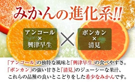 先行予約 訳あり 西南のひかり 10kg ご家庭用 みかん オレンジ フルーツ 果物 くだもの 柑橘 果実 果肉 デザート おやつ 国産 食品 おすそ分け おすそわけ 自宅用 人気 おすすめ 宮崎県 日南市 送料無料_CC53-24