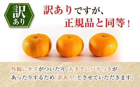 先行予約 訳あり 西南のひかり 10kg ご家庭用 みかん オレンジ フルーツ 果物 くだもの 柑橘 果実 果肉 デザート おやつ 国産 食品 おすそ分け おすそわけ 自宅用 人気 おすすめ 宮崎県 日南市 送料無料_CC53-24