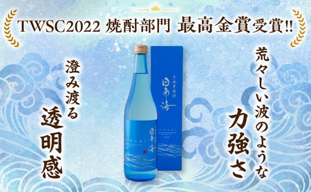 本格芋焼酎 日南海 ひなみ 計6本 25度 お酒 アルコール 飲料 飲み物 国産 手造り ロック 水割り お湯割り 晩酌 お取り寄せ グルメ 手土産 ご褒美 お祝い 記念日 宅呑み 家呑み 人気 おすすめ 櫻の郷酒造 宮崎県 日南市 送料無料_E47-24