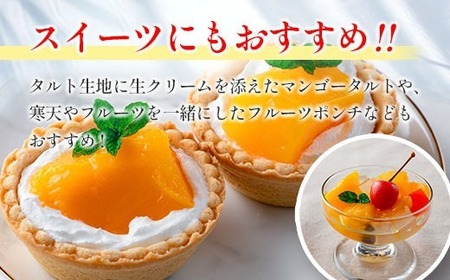 完熟 宮崎 マンゴー 缶詰 2缶 セット フルーツ 果物 くだもの
