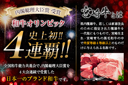 【令和7年2月から毎月配送】5か月定期便 月替わりで堪能!! 牛肉 豚肉 焼肉 セット 豚バラ 肩ロース モモ ウデ 総重量5.6kg 国産 食品 おかず BBQ バーベキュー 小分け 宮崎牛 黒毛和牛 小間切れ 赤身 A4 A5 高級 グランピング お弁当 おすすめ 人気 宮崎県 日南市 送料無料_IG3-23-A