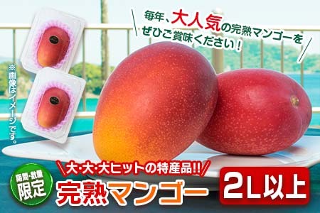 ≪数量限定≫日南市産完熟マンゴー(2L以上×2玉) フルーツ 果物 国産 令和6年発送分_BC62-23