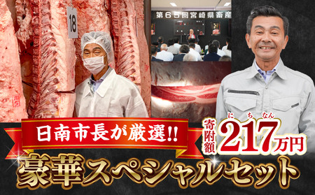 年末年始限定 6か月 お楽しみ 定期便 日南市長厳選!! 宮崎牛 堪能 セット 6回 総重量56.4kg 期間限定 数量限定 肉 牛肉 黒毛和牛 国産 A4 A5 冷凍 小分け ヒレ ロース ステーキ スライス すき焼き 焼肉 食品 おかず ギフト 贈り物 宮崎県 日南市 送料無料_AW217-24