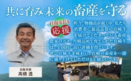 年末年始限定 6か月 お楽しみ 定期便 日南市長厳選!! 宮崎牛 堪能 セット 6回 総重量56.4kg 期間限定 数量限定 肉 牛肉 黒毛和牛 国産 A4 A5 冷凍 小分け ヒレ ロース ステーキ スライス すき焼き 焼肉 食品 おかず ギフト 贈り物 宮崎県 日南市 送料無料_AW217-24