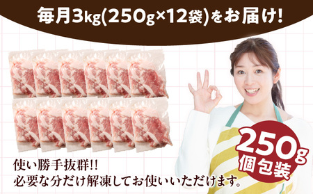 数量限定 3か月 お楽しみ 定期便 小分けで便利 豚 切り落とし 総重量9kg お肉 豚肉 国産 小分け 真空パック 個包装 万能食材 おすすめ おかず 食品 お弁当 豚丼 しゃぶしゃぶ お祝い 記念日 宮崎県 日南市 送料無料_GB3-24