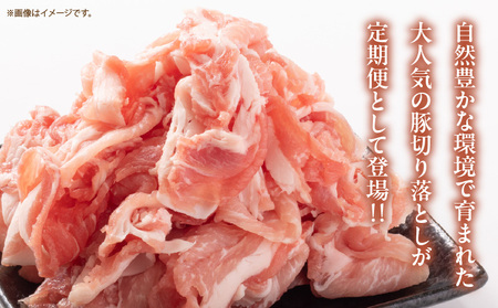 数量限定 12か月 お楽しみ 定期便 小分けで便利 豚 切り落とし 総重量36kg お肉 豚肉 国産 小分け 真空パック 個包装 万能食材 おすすめ おかず 食品 お弁当 豚丼 しゃぶしゃぶ お祝い 記念日 宮崎県 日南市 送料無料_SH1-24