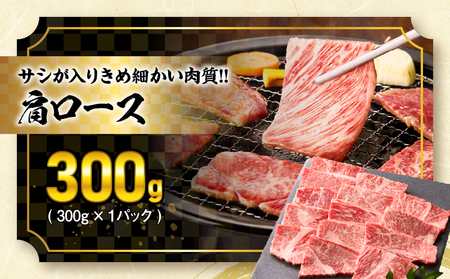 オンライン決済限定【令和7年7月配送】宮崎牛 赤身 霜降り 焼肉 3種 食べ比べ セット 合計900g 数量限定 肉 牛肉 黒毛和牛 国産 A4 A5 おすすめ 肩ロース モモ ウデ 食品 おかず 晩ご飯 お弁当 BBQ 焼き肉 贅沢 ご褒美 ギフト 贈り物 プレゼント 冷凍 選べる配送月 宮崎県 日南市 送料無料_CD64-24-07