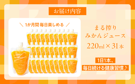 果汁 100％ まる搾り みかん ジュース 220ml×31本 機能性表示食品 飲料 ソフトドリンク 果物 フルーツ 柑橘 ミカン シャーベット 国産 人気 おすすめ ギフト おすそ分け お土産 贈り物 プレゼント お取り寄せ 宮崎県 日南市 送料無料_GB5-24