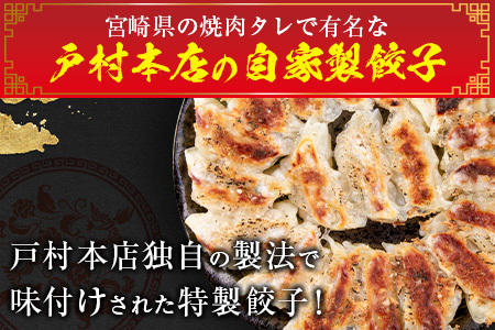 オンライン決済限定 焼くだけ!!簡単調理 本格 肉 餃子 10個 × 30パック 計300個 小分け ぎょうざ ギョーザ 加工品 国産 惣菜 戸村本店 特製餃子 自家製餃子 人気 おすすめ おかず おつまみ お弁当 おすそ分け お土産 贈り物 ギフト 贈答 プレゼント 宮崎県 日南市 送料無料_FG8-25