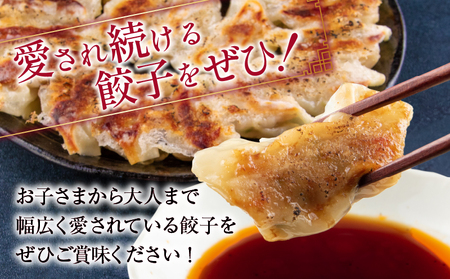 オンライン決済限定 焼くだけ!!簡単調理 本格 肉 餃子 10個 × 30パック 計300個 小分け ぎょうざ ギョーザ 加工品 国産 惣菜 戸村本店 特製餃子 自家製餃子 人気 おすすめ おかず おつまみ お弁当 おすそ分け お土産 贈り物 ギフト 贈答 プレゼント 宮崎県 日南市 送料無料_FG8-25