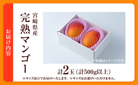 数量限定 宮崎県産 完熟マンゴー 2玉 計500g以上 期間限定 フルーツ スイーツ 果物 くだもの 食品 グルメ デザート 国産 産地直送 人気 おすすめ おやつ 高級 ご褒美 贅沢 贈り物 ギフト プレゼント 令和8年発送分 宮崎県 日南市 送料無料_BD106-25