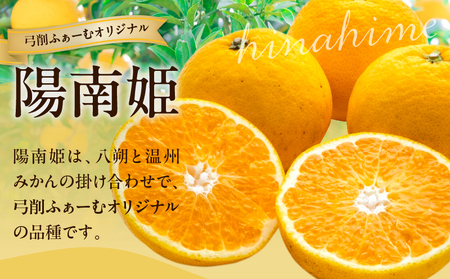 先行予約 訳あり オリジナル ブランド 陽南姫 計3.8kg以上 傷み補償分入り 令和8年発送 フルーツ 果物 くだもの 柑橘 みかん_AAV4-25