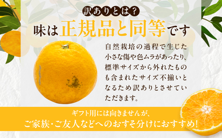 先行予約 訳あり オリジナル ブランド 陽南姫 計3.8kg以上 傷み補償分入り 令和8年発送 フルーツ 果物 くだもの 柑橘 みかん_AAV4-25