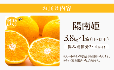 先行予約 訳あり オリジナル ブランド 陽南姫 計3.8kg以上 傷み補償分入り 令和8年発送 フルーツ 果物 くだもの 柑橘 みかん_AAV4-25