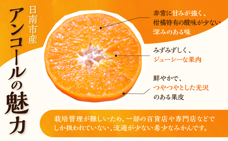 先行予約 訳あり アンコール 計3.8kg以上 傷み補償分付き 令和8年発送 フルーツ 果物 くだもの みかん_AAV3-25