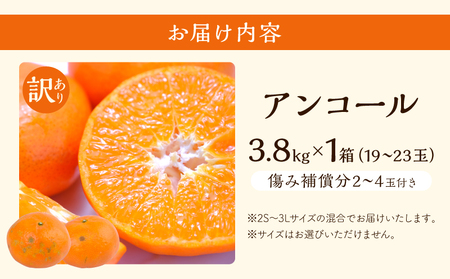 先行予約 訳あり アンコール 計3.8kg以上 傷み補償分付き 令和8年発送 フルーツ 果物 くだもの みかん_AAV3-25