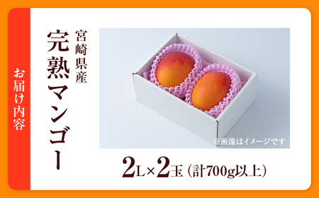 数量限定 宮崎県産 完熟マンゴー 2L×2玉 計700g以上 期間限定 フルーツ スイーツ 果物 くだもの 食品 グルメ デザート 国産 産地直送 人気 おすすめ おやつ 高級 ご褒美 贅沢 贈り物 ギフト プレゼント 令和8年発送分 宮崎県 日南市 送料無料_C142-25