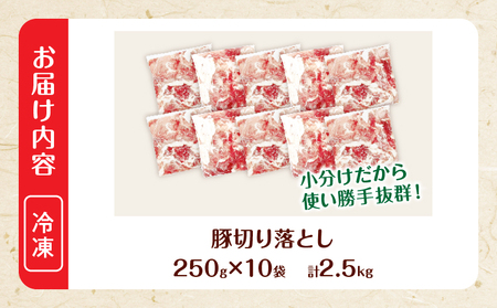 大人気 生冷凍 厳選 豚切り落とし 計2.5kg 国産 食品 豚肉 ぶた ポーク 小分け 個包装 真空パック 便利 大容量 生姜焼き 野菜炒め 豚汁 肉じゃが 豚丼 お弁当 おかず 晩ご飯 おすすめ 使い切りサイズ 万能食材 おすそ分け 宮崎県 日南市 送料無料_CV5-25-2W
