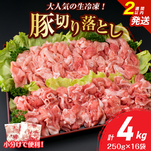大人気 生冷凍 厳選 豚切り落とし 計4kg 国産 食品 豚肉 ぶた ポーク 小分け 個包装 真空パック 便利 大容量 生姜焼き 野菜炒め 豚汁 肉じゃが 豚丼 お弁当 おかず 晩ご飯 おすすめ 使い切りサイズ 万能食材 おすそ分け 宮崎県 日南市 送料無料_DB36-25-2W