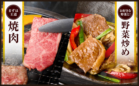 【令和8年2月配送】数量限定 宮崎牛 霜降り 焼肉 計1kg_DAV2-25-02